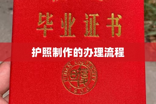 岗巴护照制作的办理流程