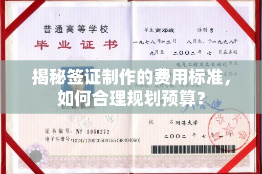 岗巴揭秘签证制作的费用标准，如何合理规划预算？