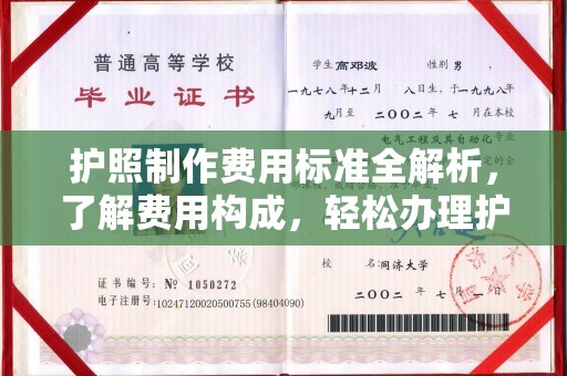 岗巴护照制作费用标准全解析，了解费用构成，轻松办理护照